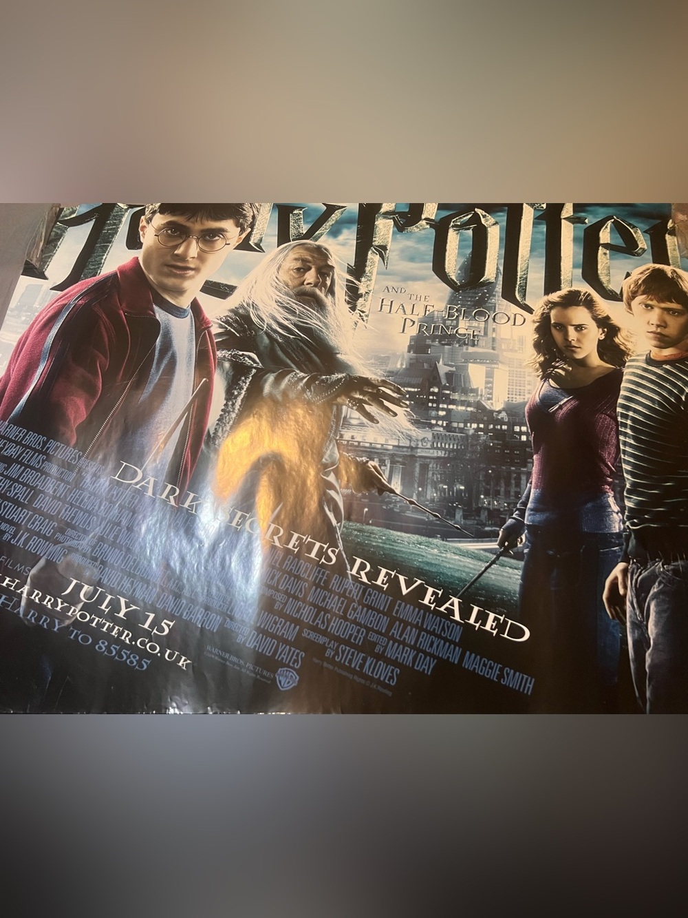Vintage Harry Potter and the Half-Blood Prince Movie Poster - Double Sided